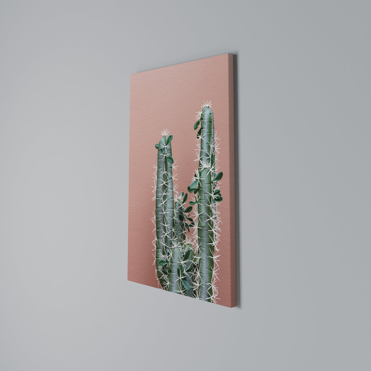 LORD CACTUS Κατακόρυφος Πίνακας σε Καμβά