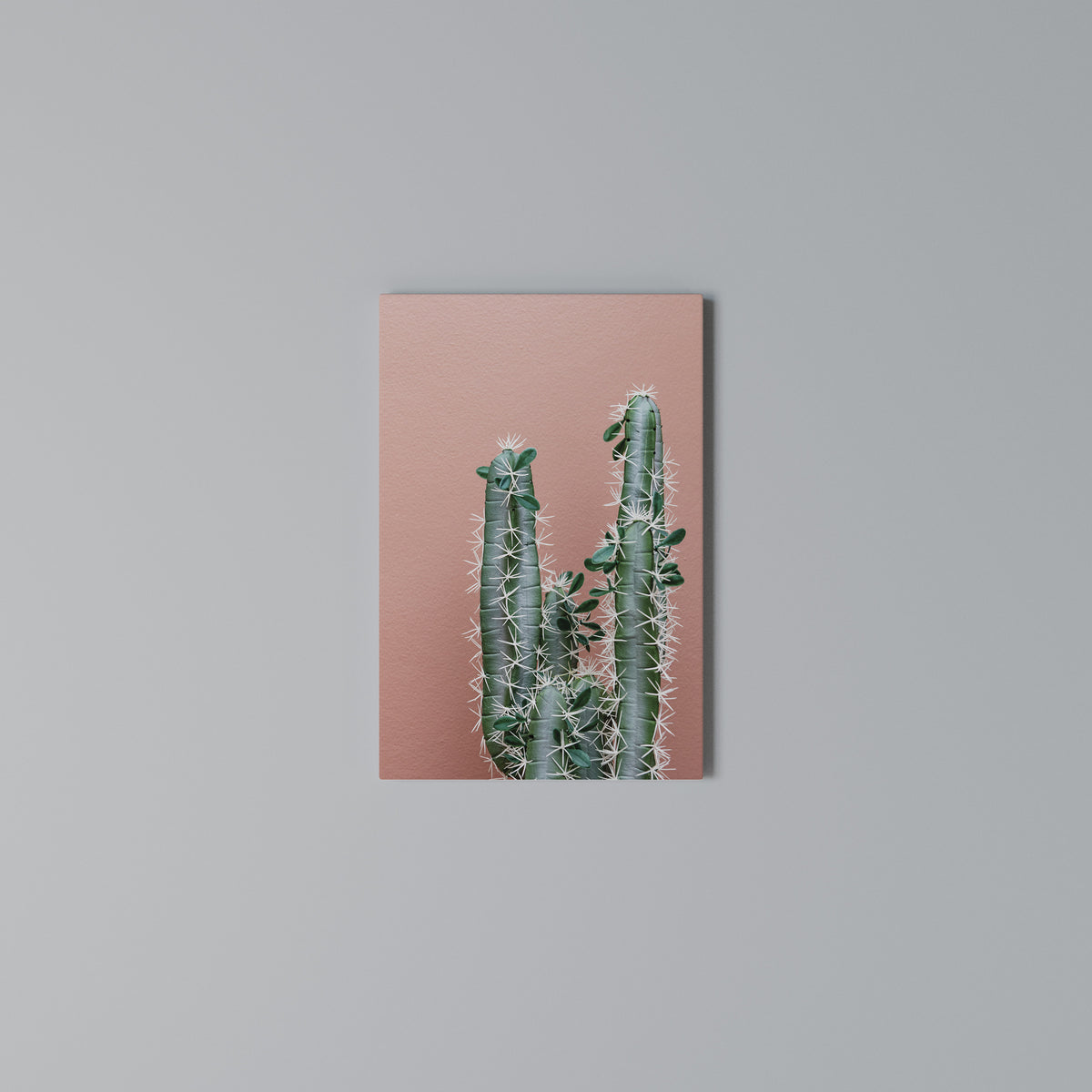 LORD CACTUS Κατακόρυφος Πίνακας σε Καμβά