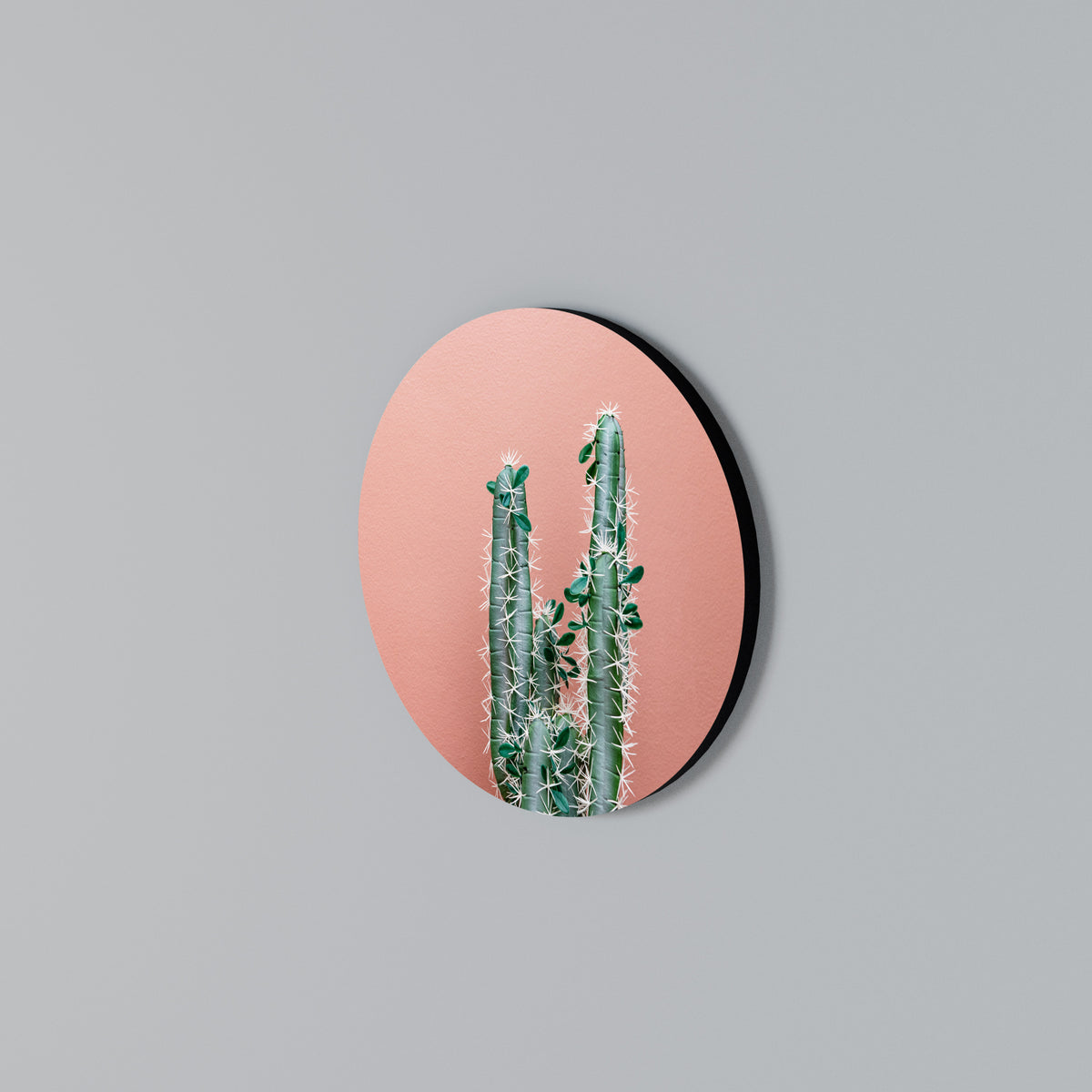 LORD CACTUS Στρογγυλός πίνακας ζωγραφικής