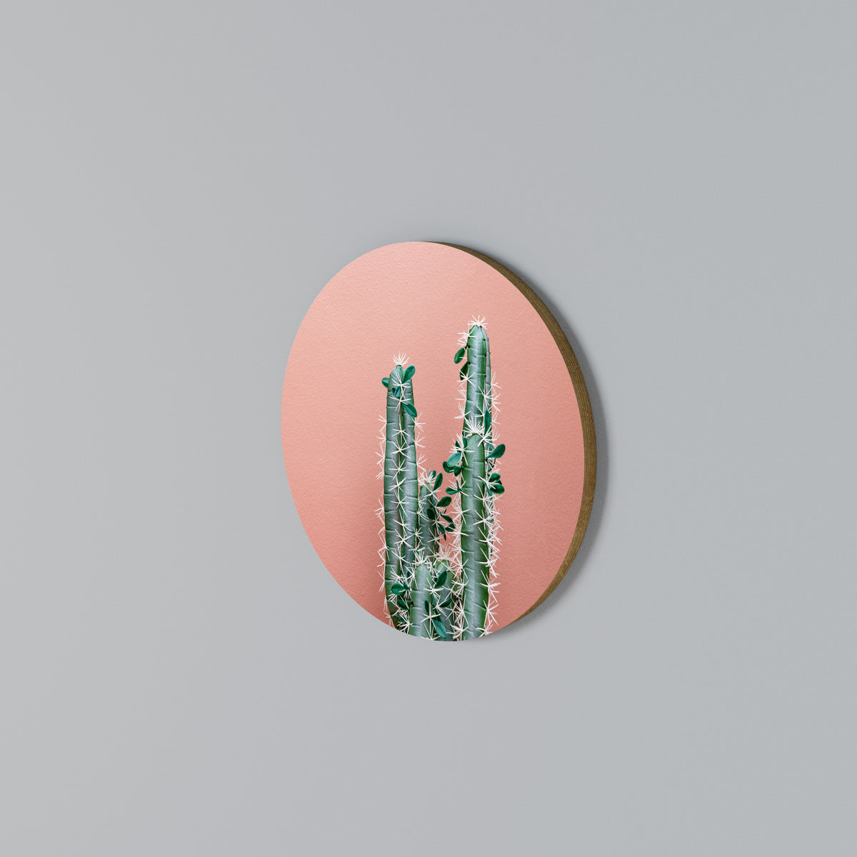 LORD CACTUS Στρογγυλός πίνακας ζωγραφικής