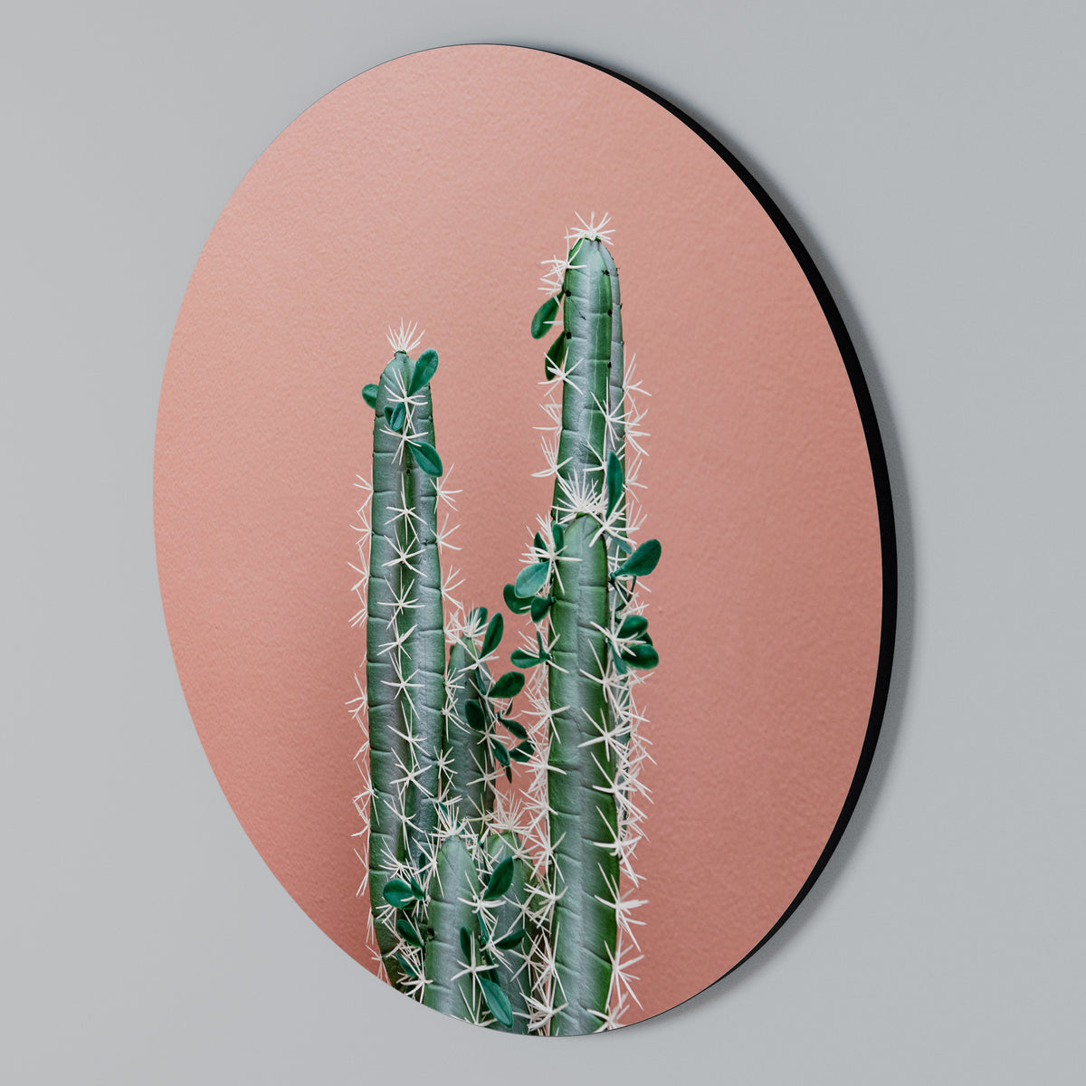 LORD CACTUS Στρογγυλός πίνακας ζωγραφικής