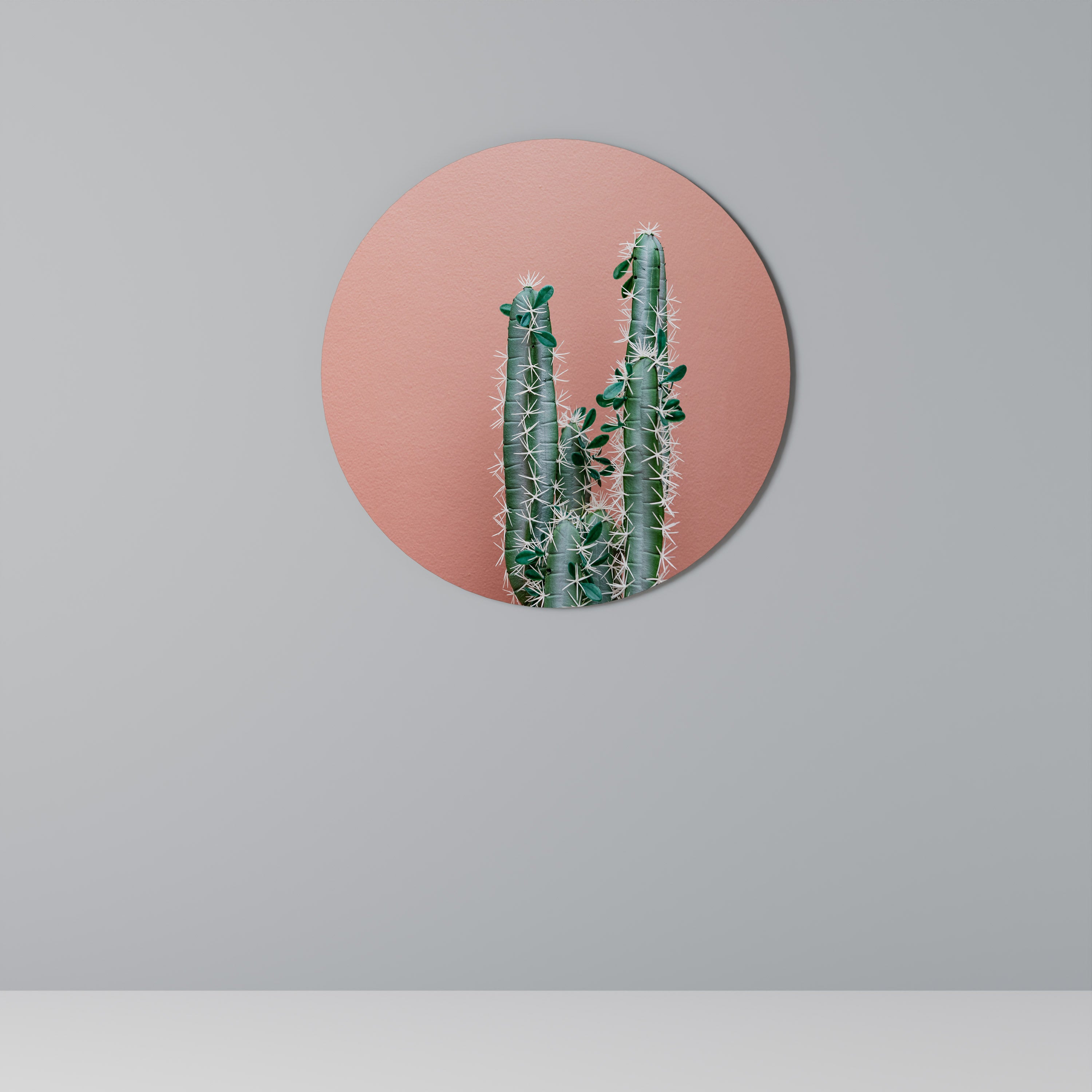 LORD CACTUS Στρογγυλή Τέχνη Τοίχου