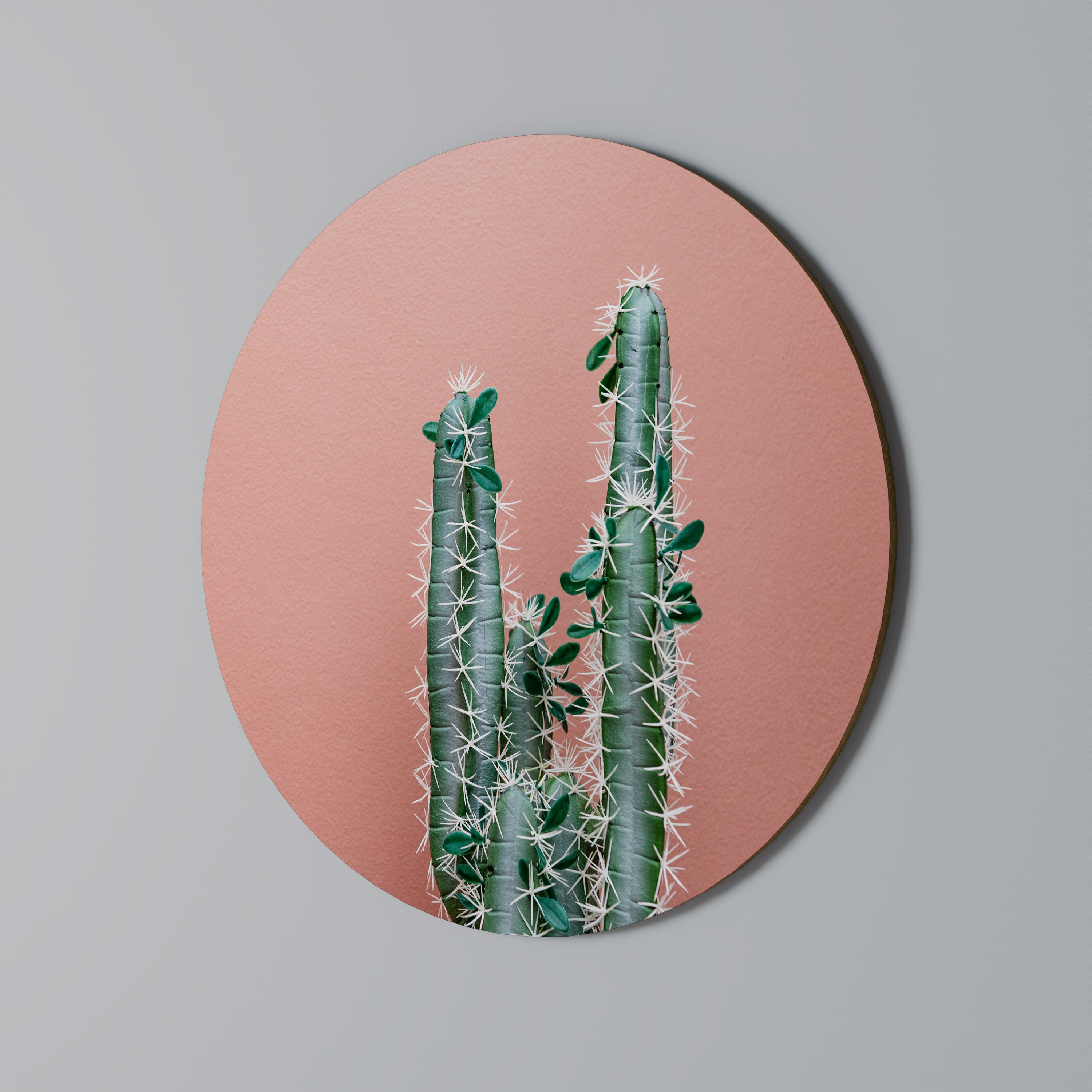 LORD CACTUS Στρογγυλή Τέχνη Τοίχου