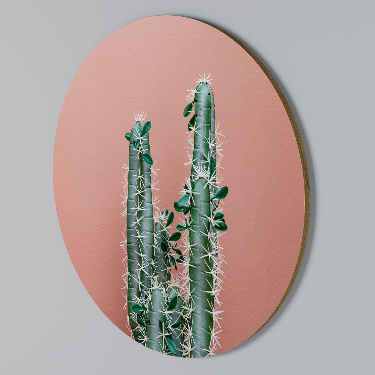 LORD CACTUS Στρογγυλός πίνακας ζωγραφικής