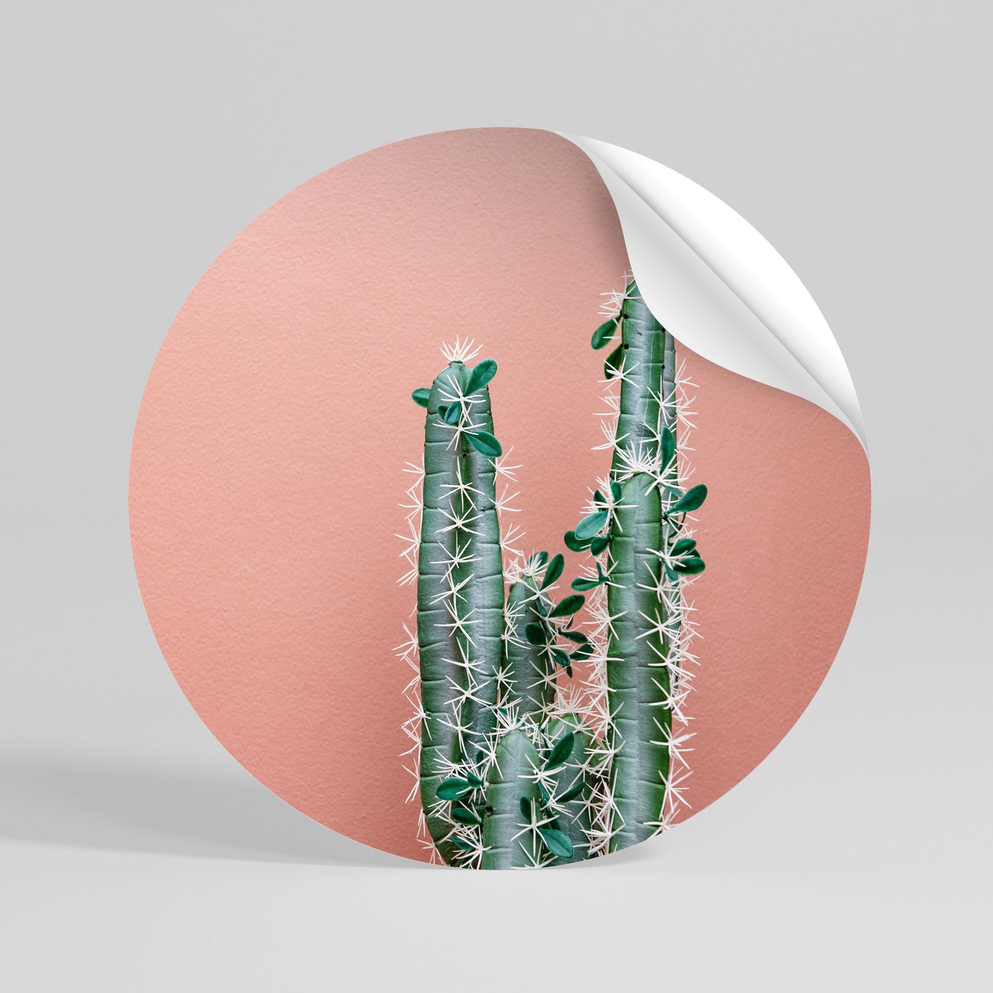 LORD CACTUS Αυτοκόλλητη Αφίσα στρογγυλή
