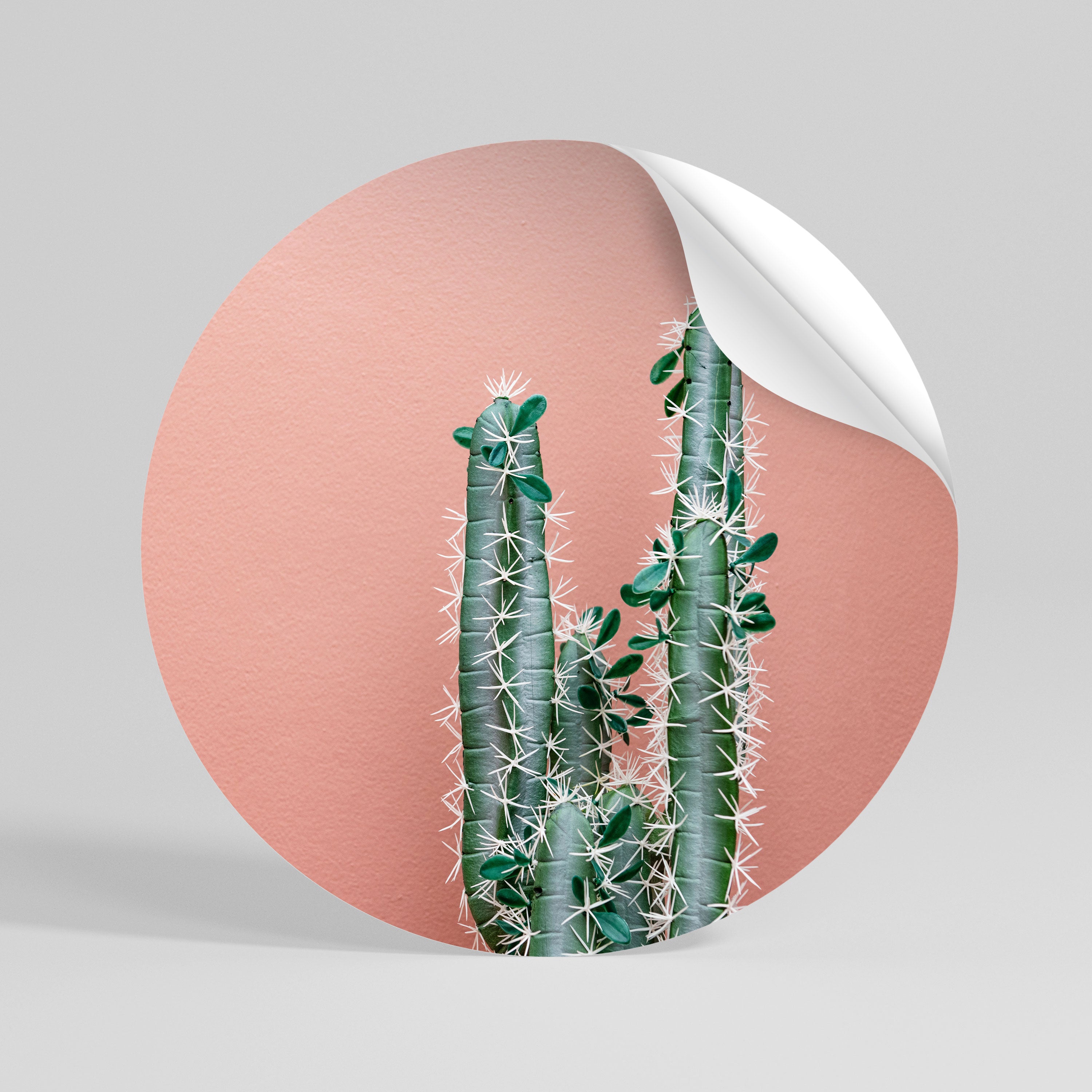 LORD CACTUS Peel and Stick Round Sticker