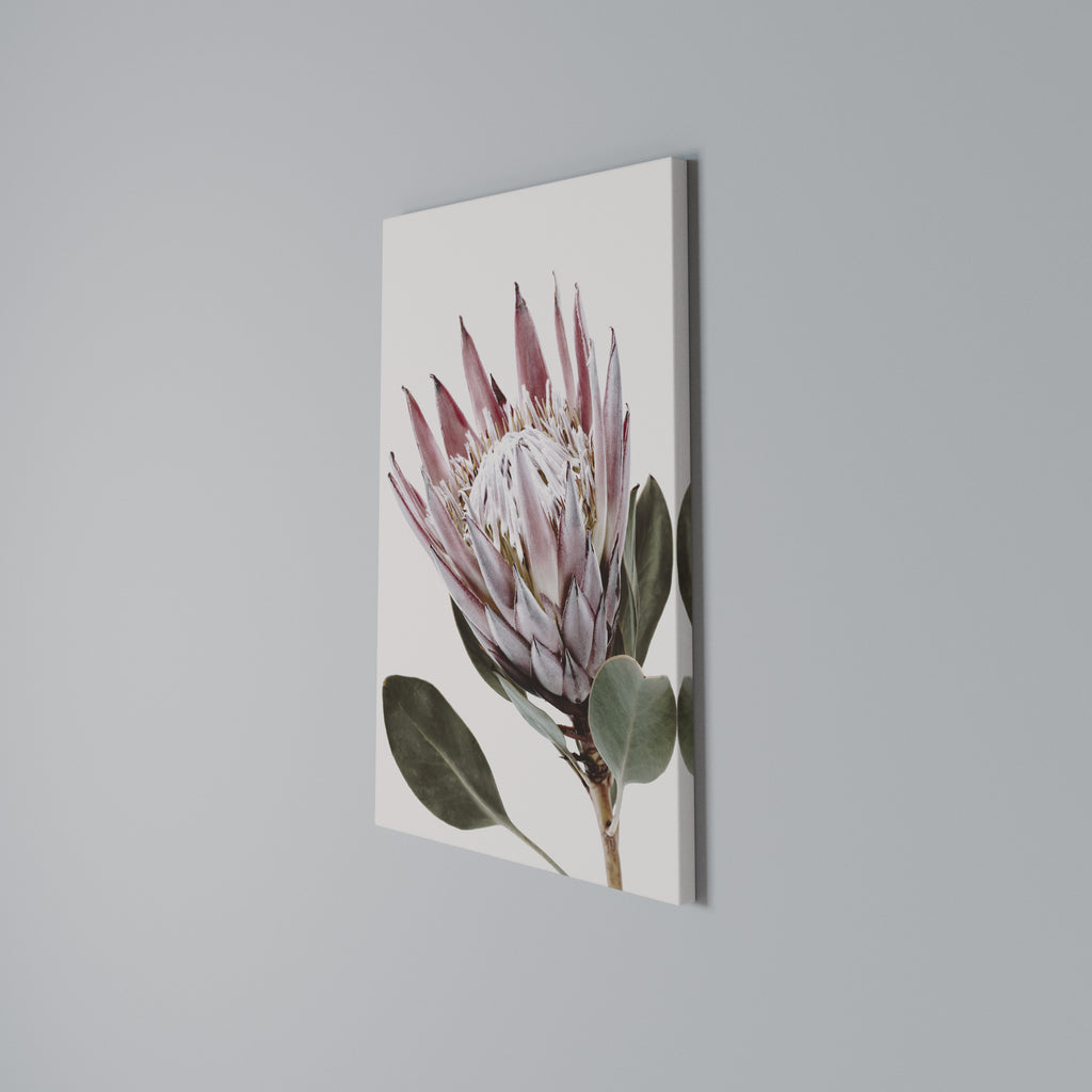 PROTEA FLOWER Κατακόρυφος Πίνακας σε Καμβά