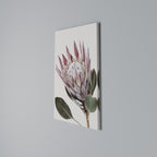 PROTEA FLOWER Κατακόρυφος Πίνακας σε Καμβά