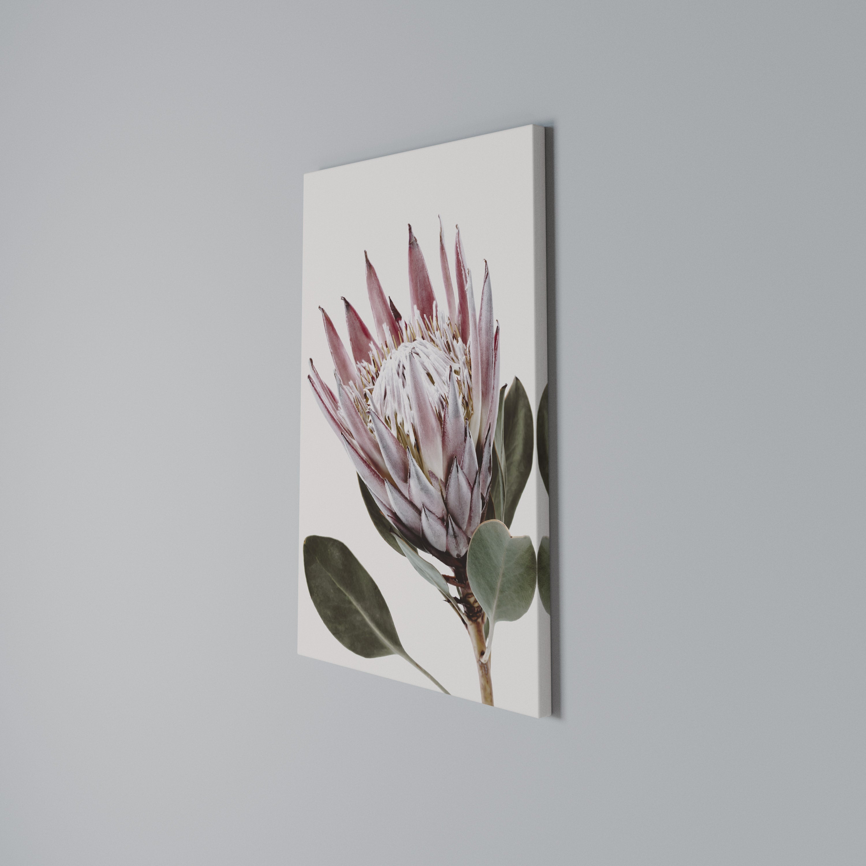 PROTEA FLOWER Κατακόρυφος Πίνακας σε Καμβά