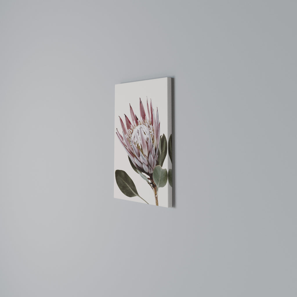 PROTEA FLOWER Κατακόρυφος Πίνακας σε Καμβά