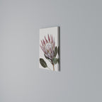 PROTEA FLOWER Κατακόρυφος Πίνακας σε Καμβά