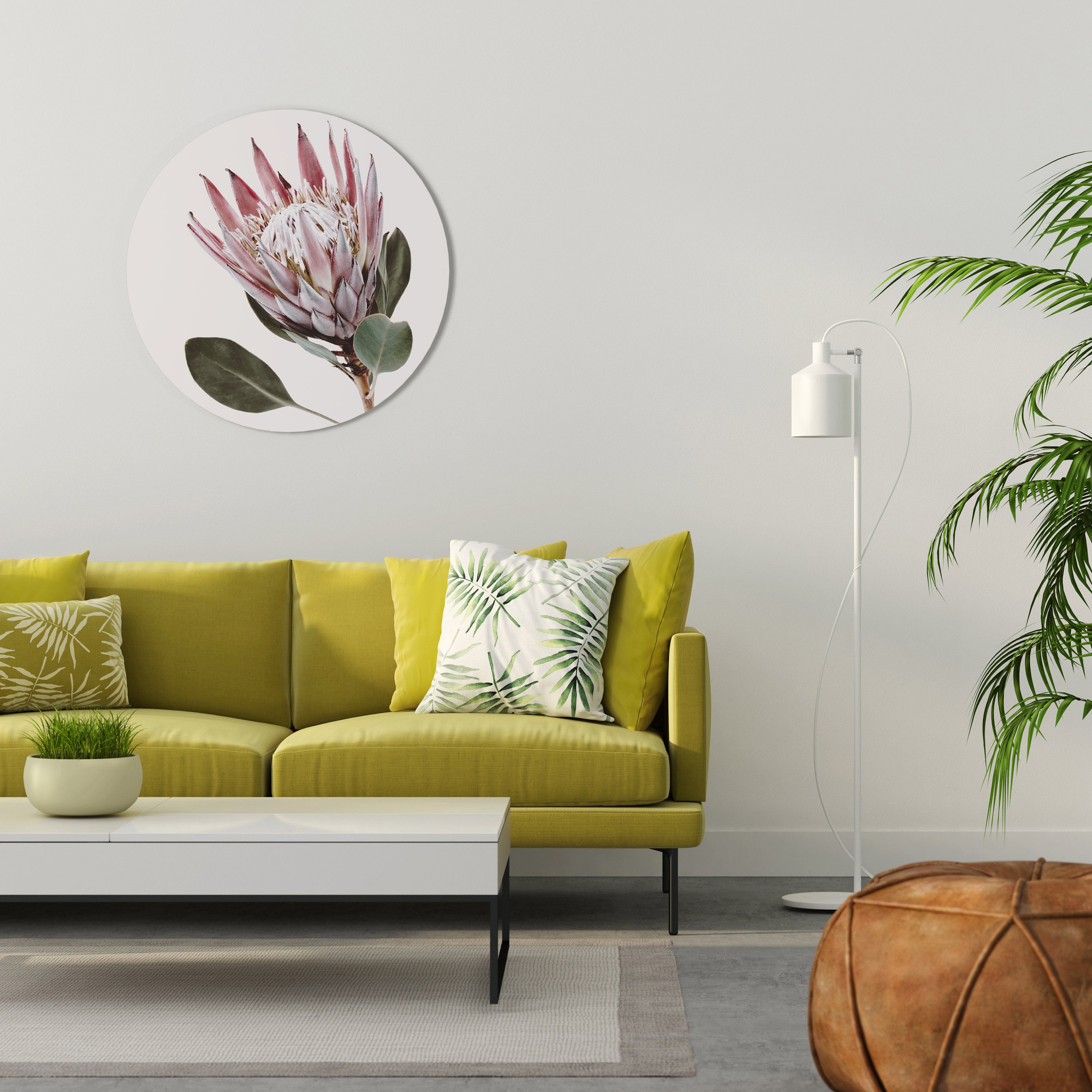 PROTEA FLOWER Στρογγυλή Τέχνη Τοίχου