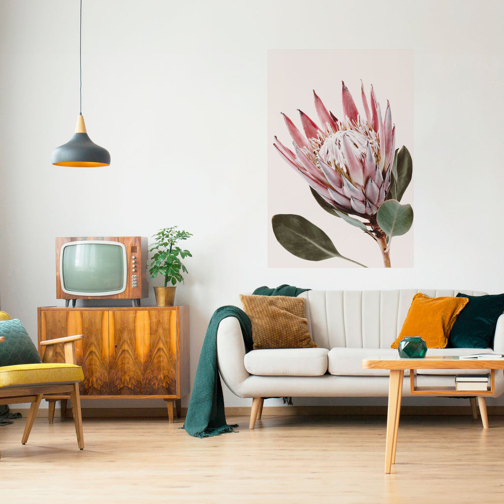 Αφίσα PROTEA FLOWER με ξεφλούδισμα και ραβδί