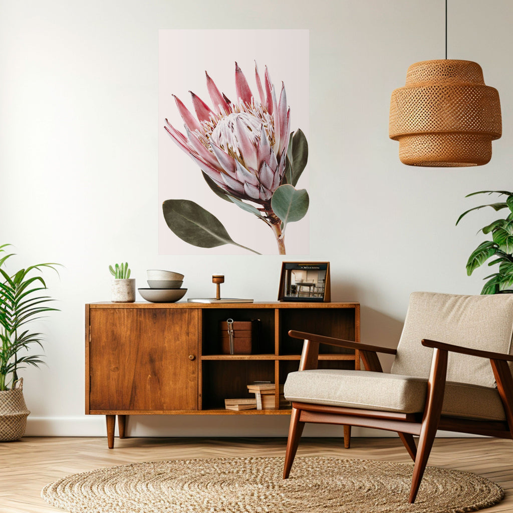 Αφίσα PROTEA FLOWER με ξεφλούδισμα και ραβδί