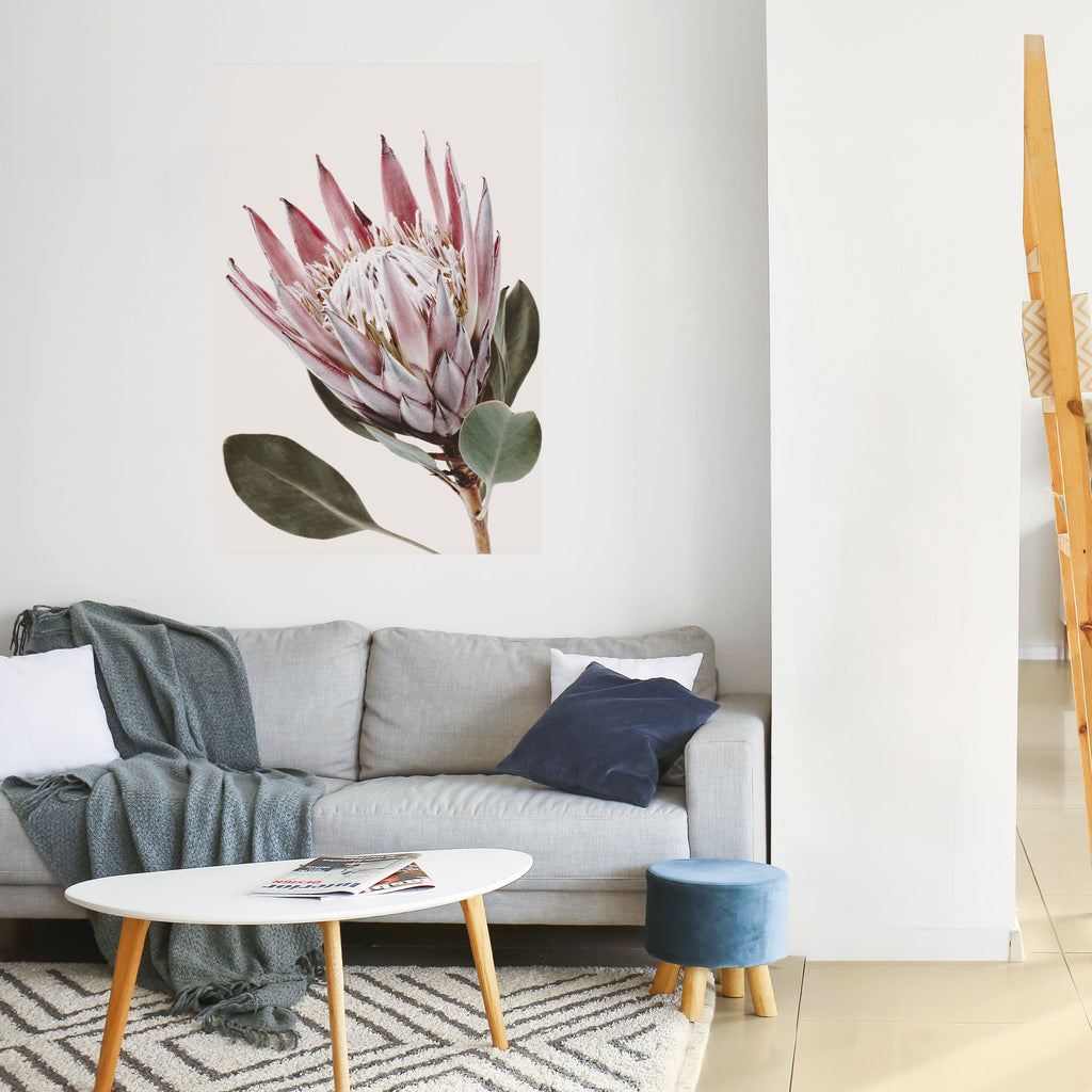 Αφίσα PROTEA FLOWER με ξεφλούδισμα και ραβδί