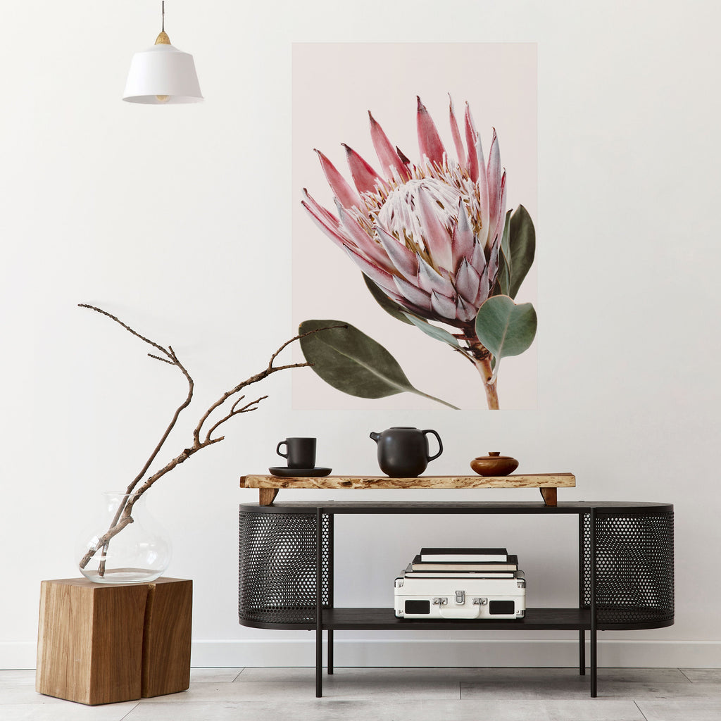 Αφίσα PROTEA FLOWER με ξεφλούδισμα και ραβδί