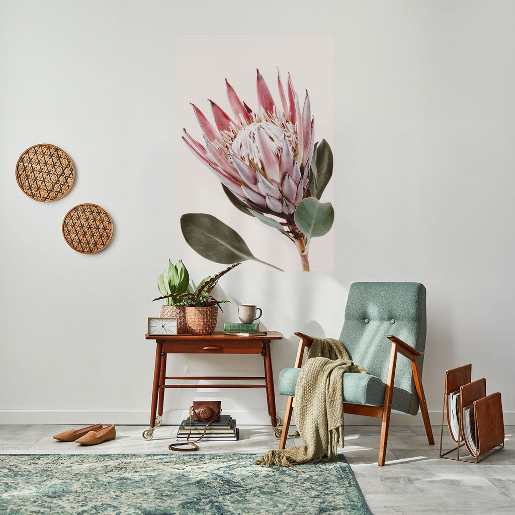 Αφίσα PROTEA FLOWER με ξεφλούδισμα και ραβδί