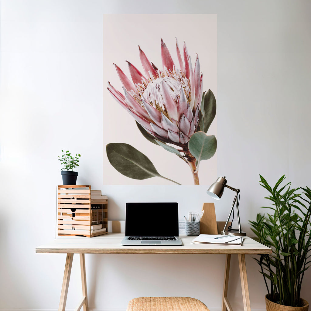 Αφίσα PROTEA FLOWER με ξεφλούδισμα και ραβδί