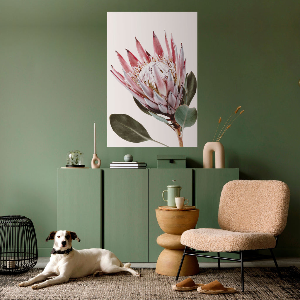 Αφίσα PROTEA FLOWER με ξεφλούδισμα και ραβδί
