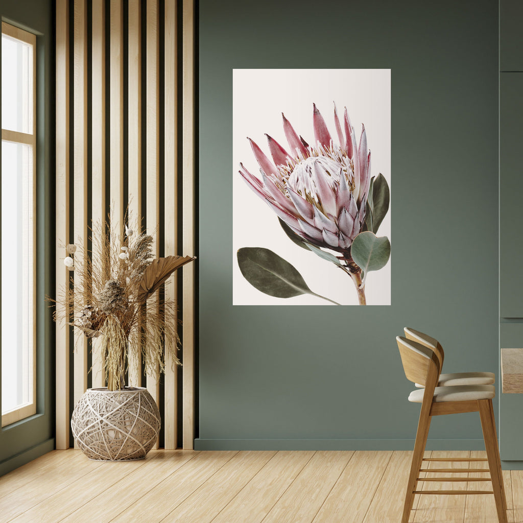 Αφίσα PROTEA FLOWER με ξεφλούδισμα και ραβδί
