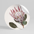 PROTEA FLOWER Peel and Stick Round Sticker
