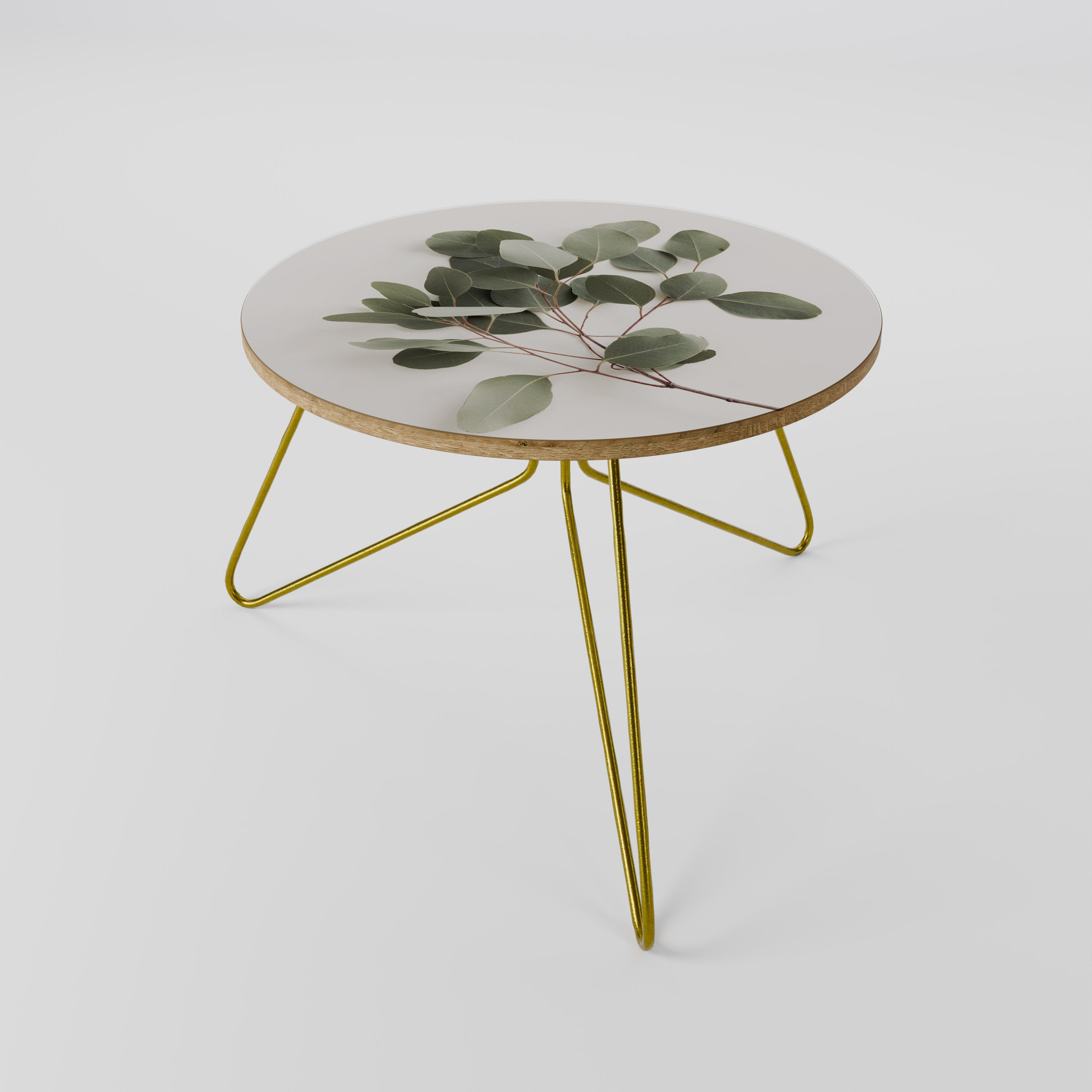 EUCALYPTUS BRANCH Coffee Table 60