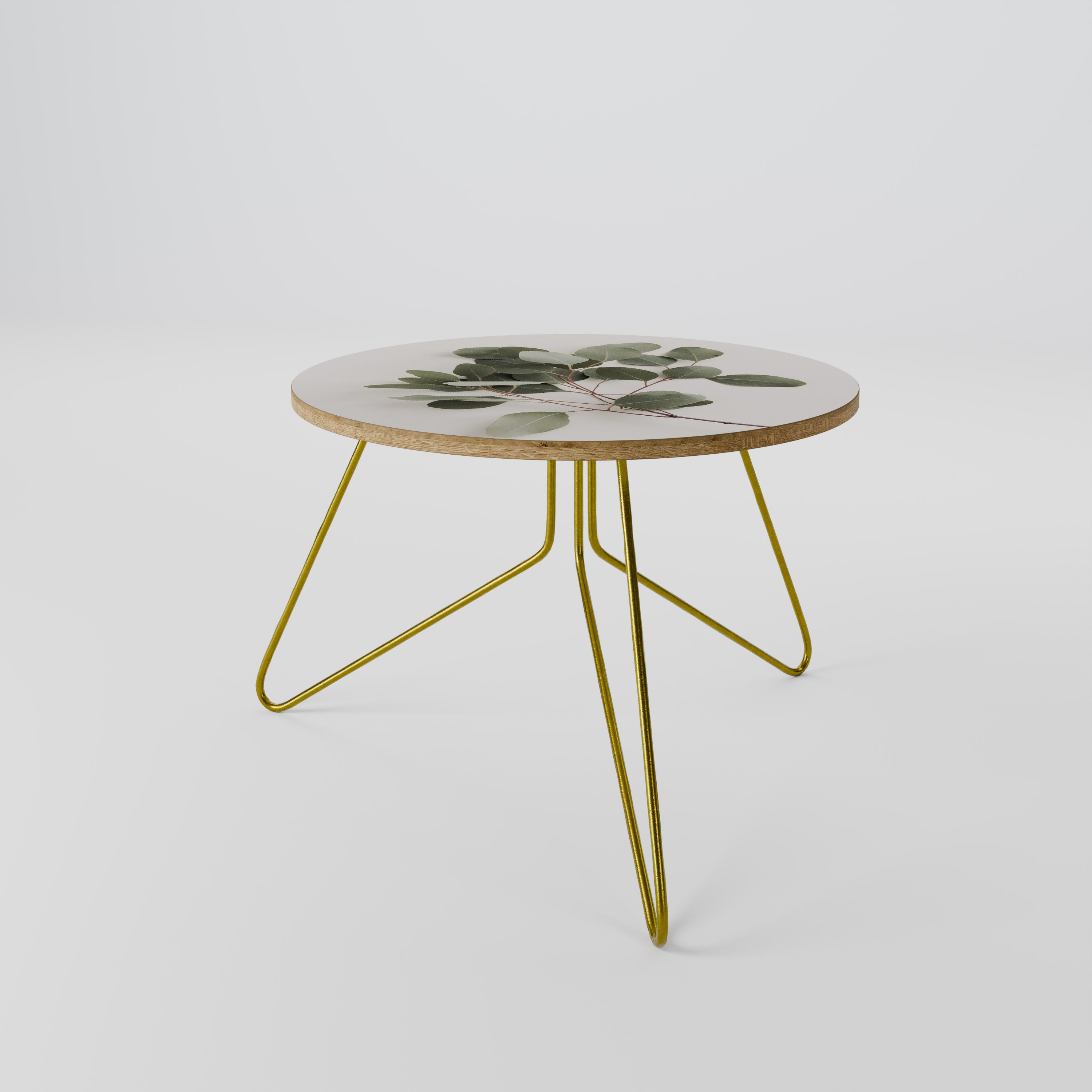 EUCALYPTUS BRANCH Coffee Table