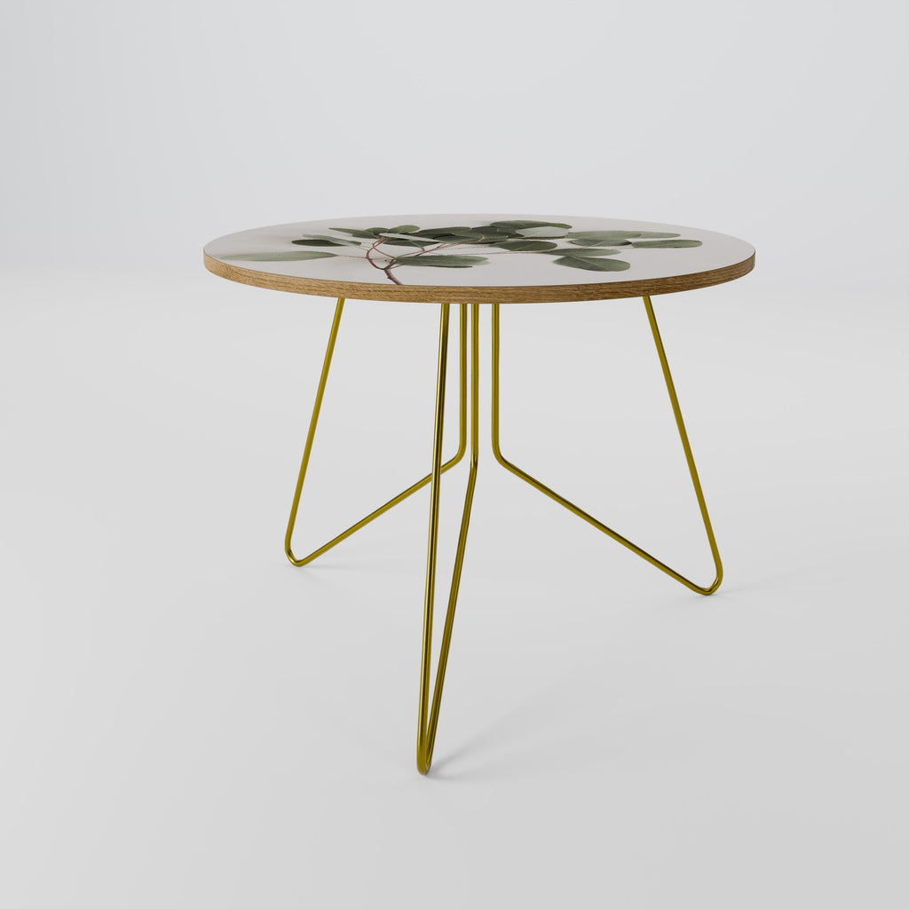 EUCALYPTUS BRANCH Coffee Table 69