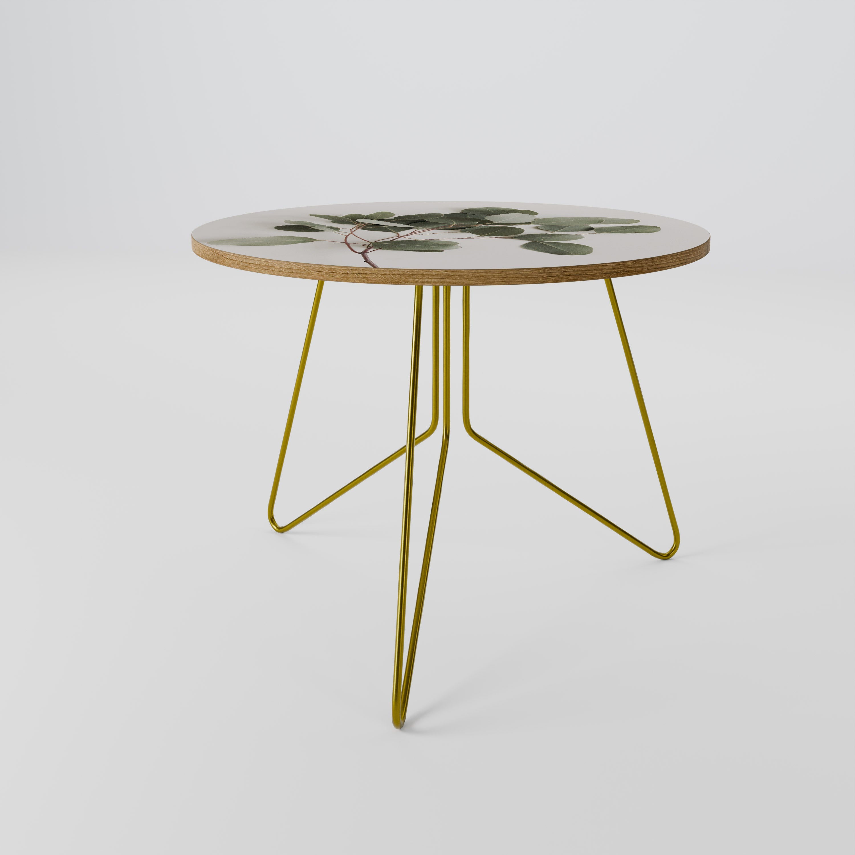 EUCALYPTUS BRANCH Coffee Table 69