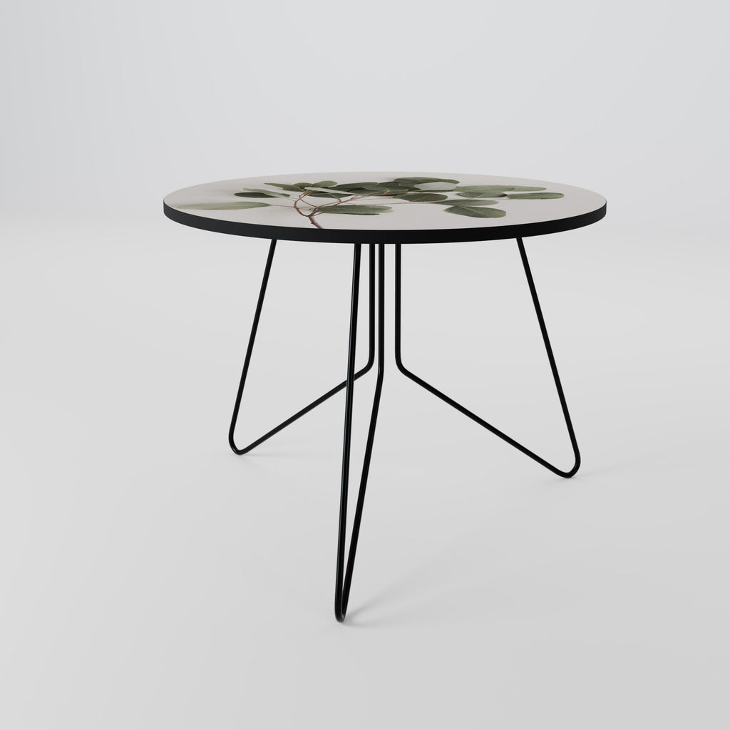 EUCALYPTUS BRANCH Coffee Table 69
