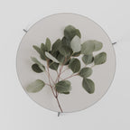 EUCALYPTUS BRANCH Τραπεζάκι σαλονιού