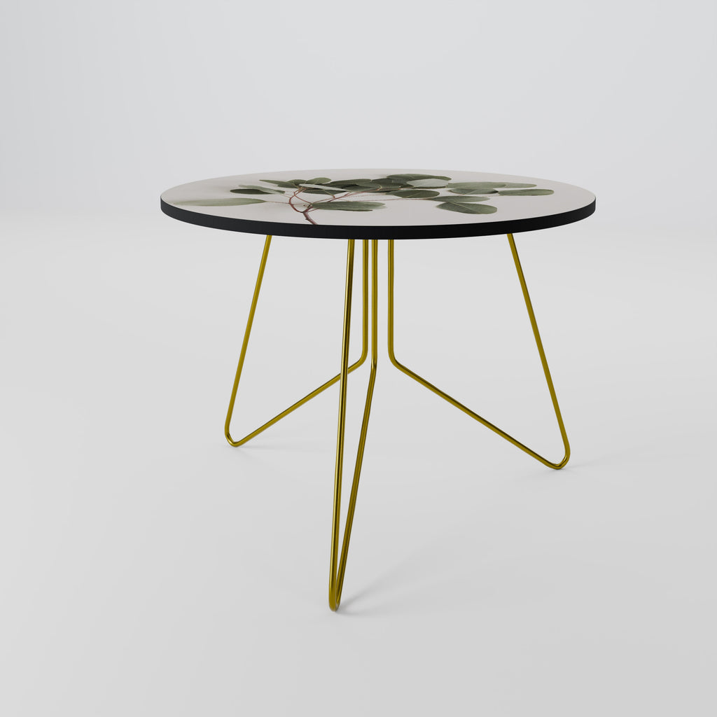 EUCALYPTUS BRANCH Coffee Table 69