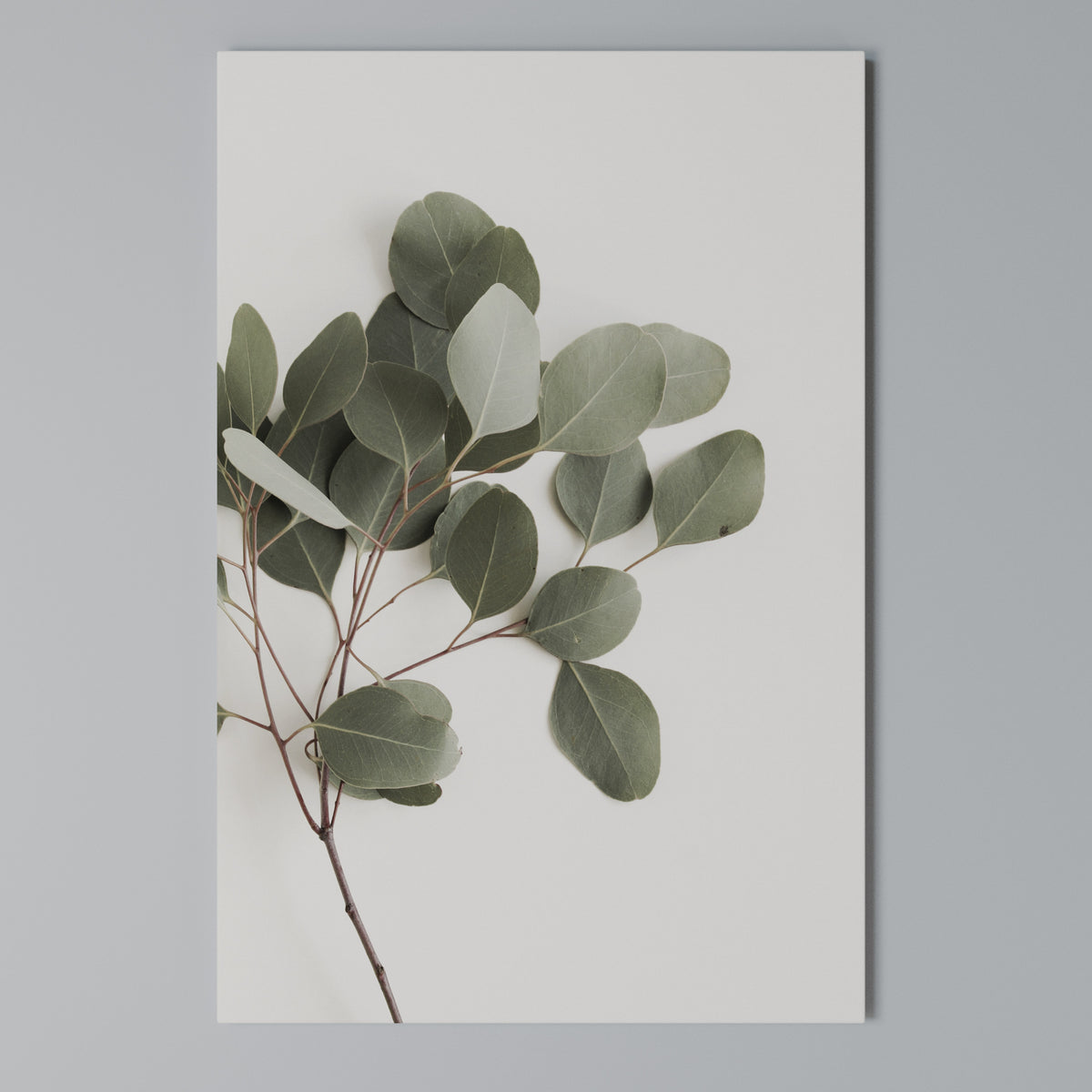 EUCALYPTUS BRANCH Κατακόρυφος Πίνακας σε Καμβά
