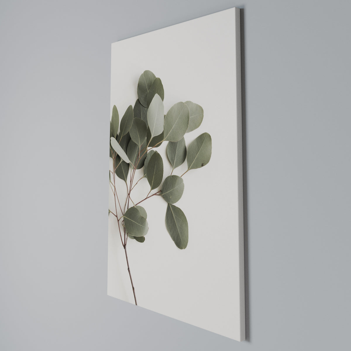 EUCALYPTUS BRANCH Κατακόρυφος Πίνακας σε Καμβά