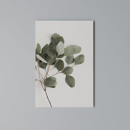 EUCALYPTUS BRANCH Κατακόρυφος Πίνακας σε Καμβά
