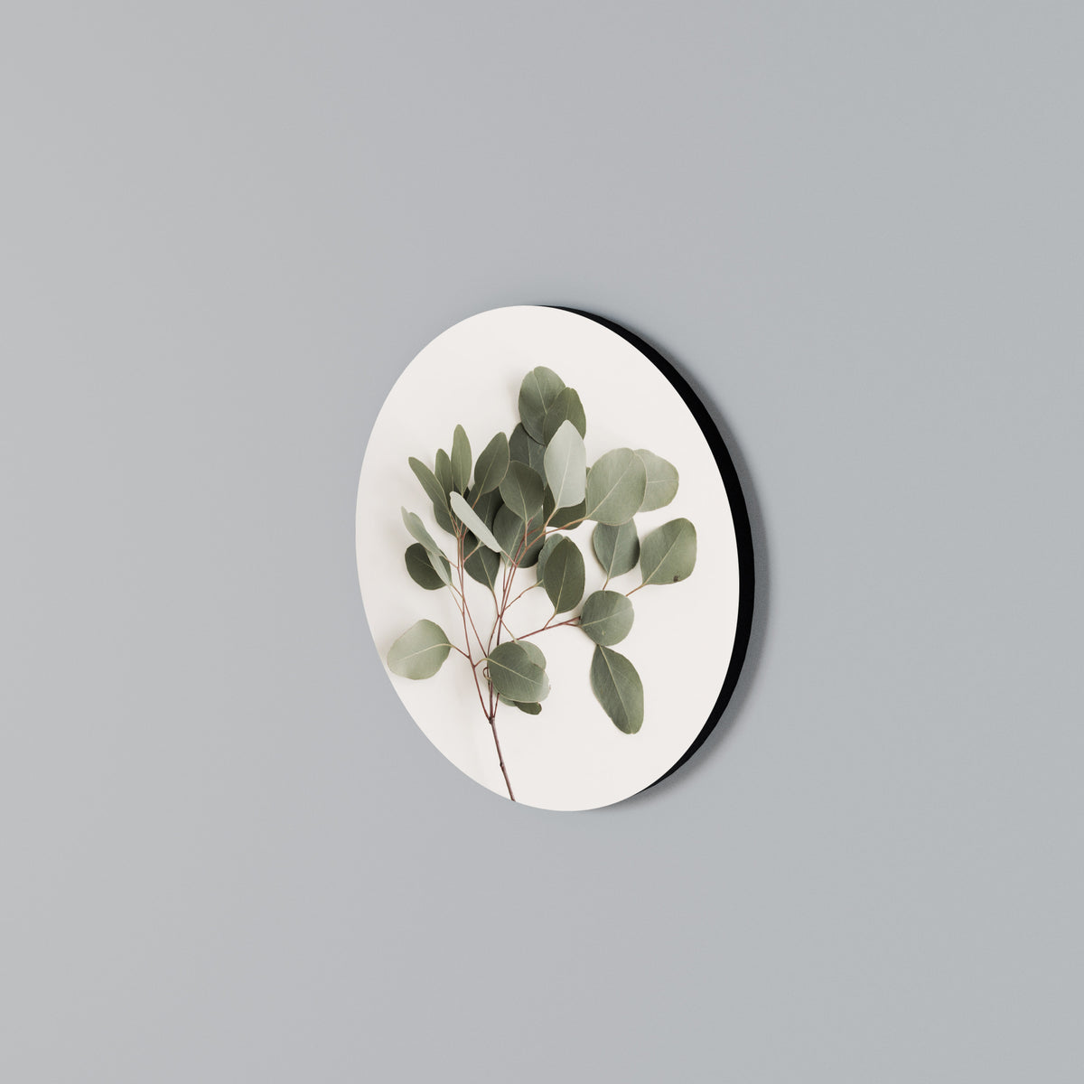 EUCALYPTUS BRANCH Στρογγυλός πίνακας ζωγραφικής