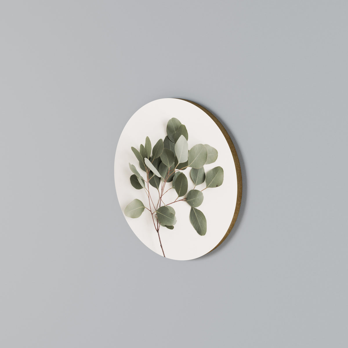 EUCALYPTUS BRANCH Στρογγυλός πίνακας ζωγραφικής