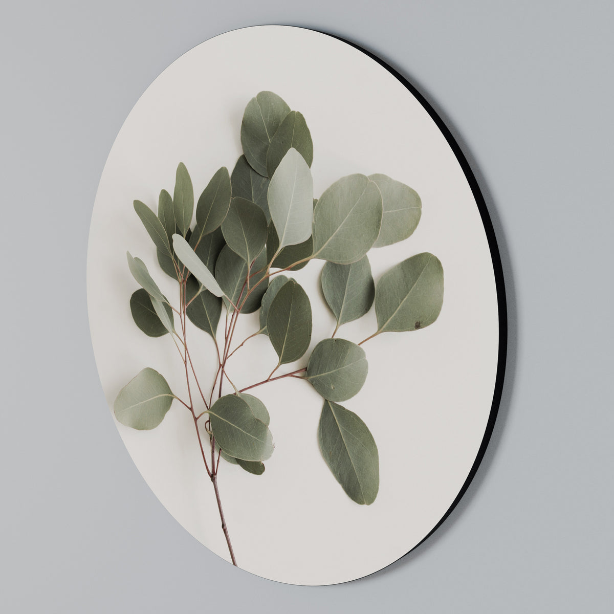 EUCALYPTUS BRANCH Στρογγυλός πίνακας ζωγραφικής