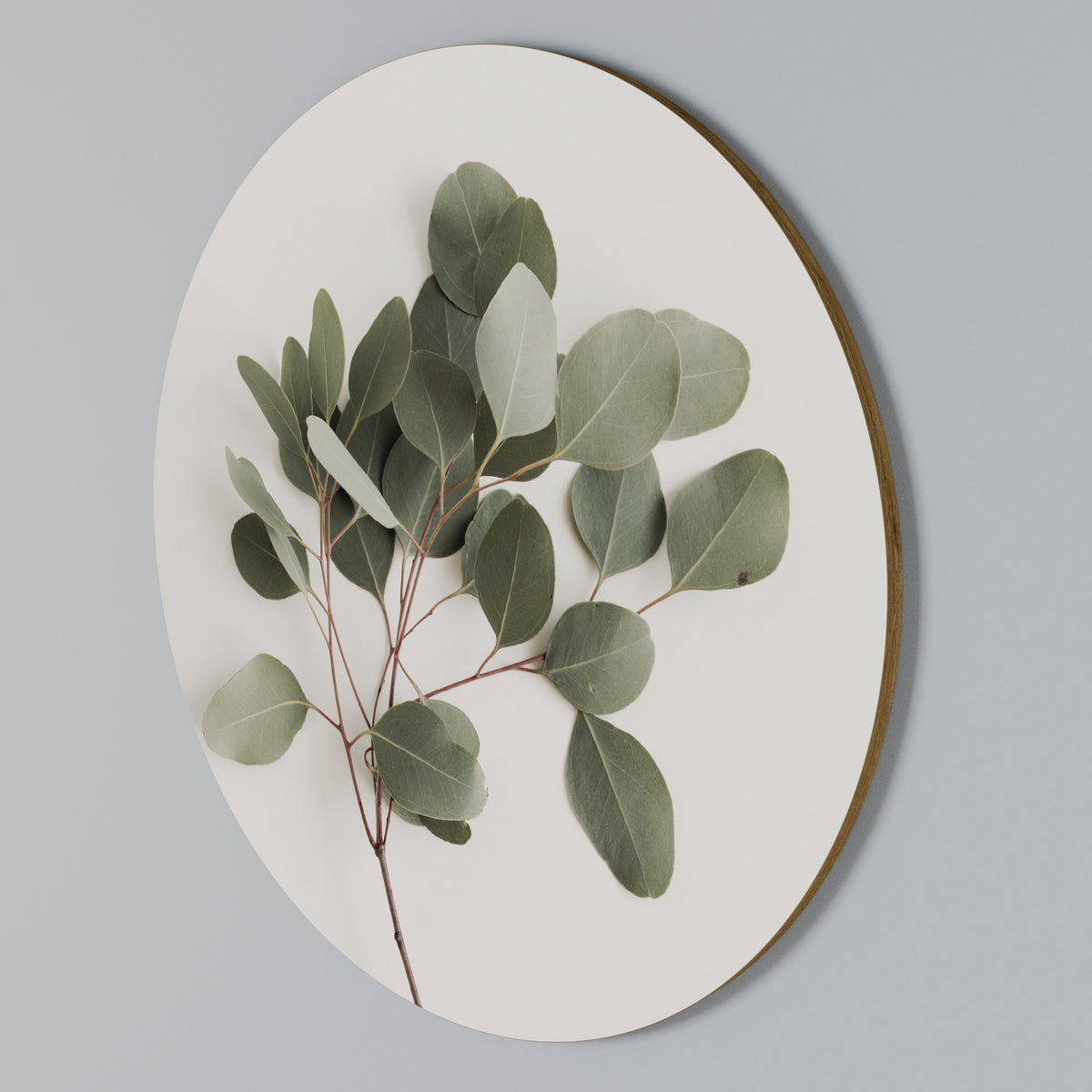 EUCALYPTUS BRANCH Στρογγυλός πίνακας ζωγραφικής