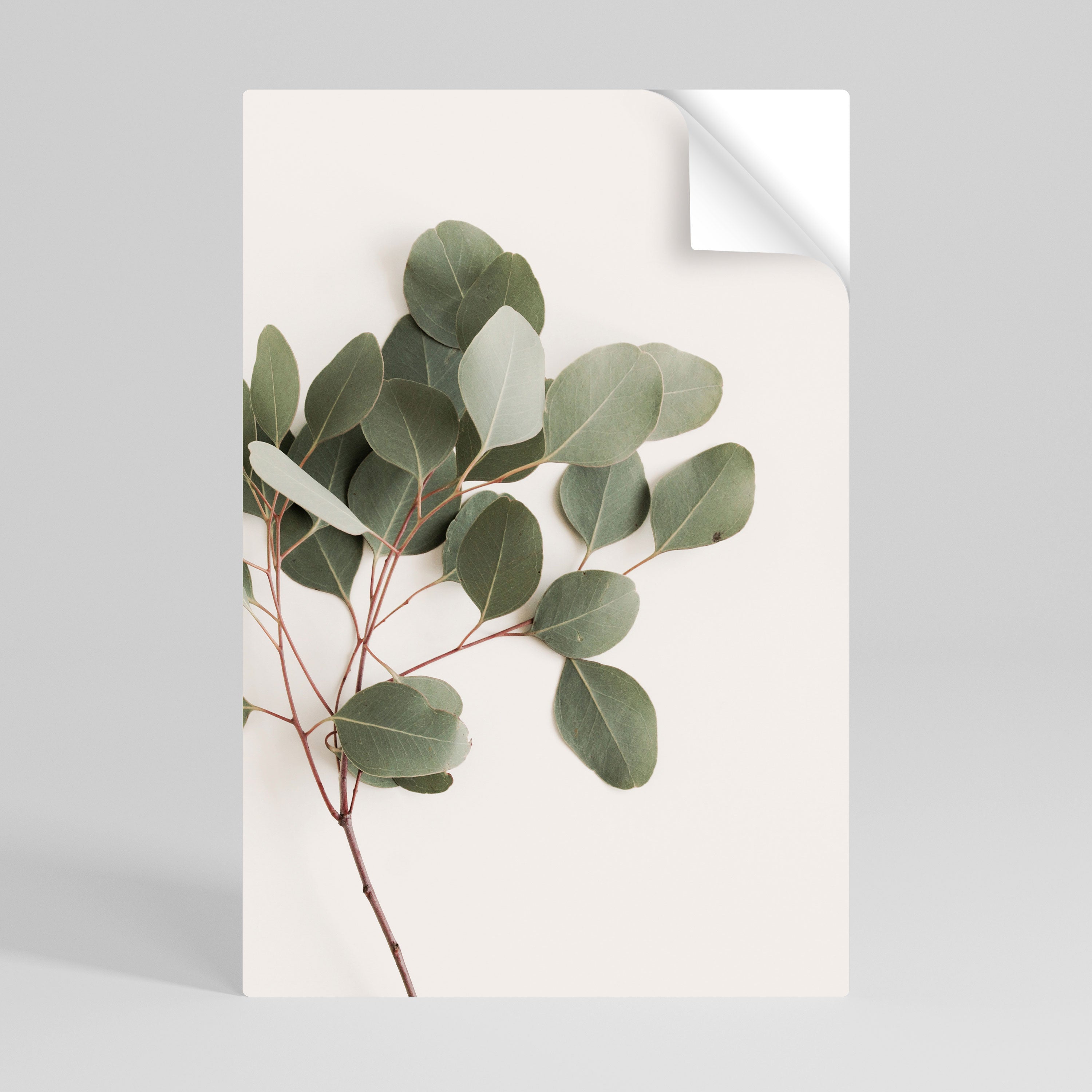 EUCALYPTUS BRANCH Peel and Stick Vertical Poster