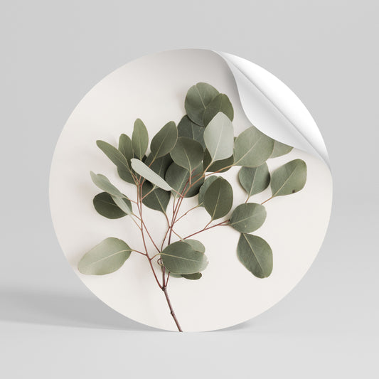 EUCALYPTUS BRANCH Αυτοκόλλητη Αφίσα στρογγυλή
