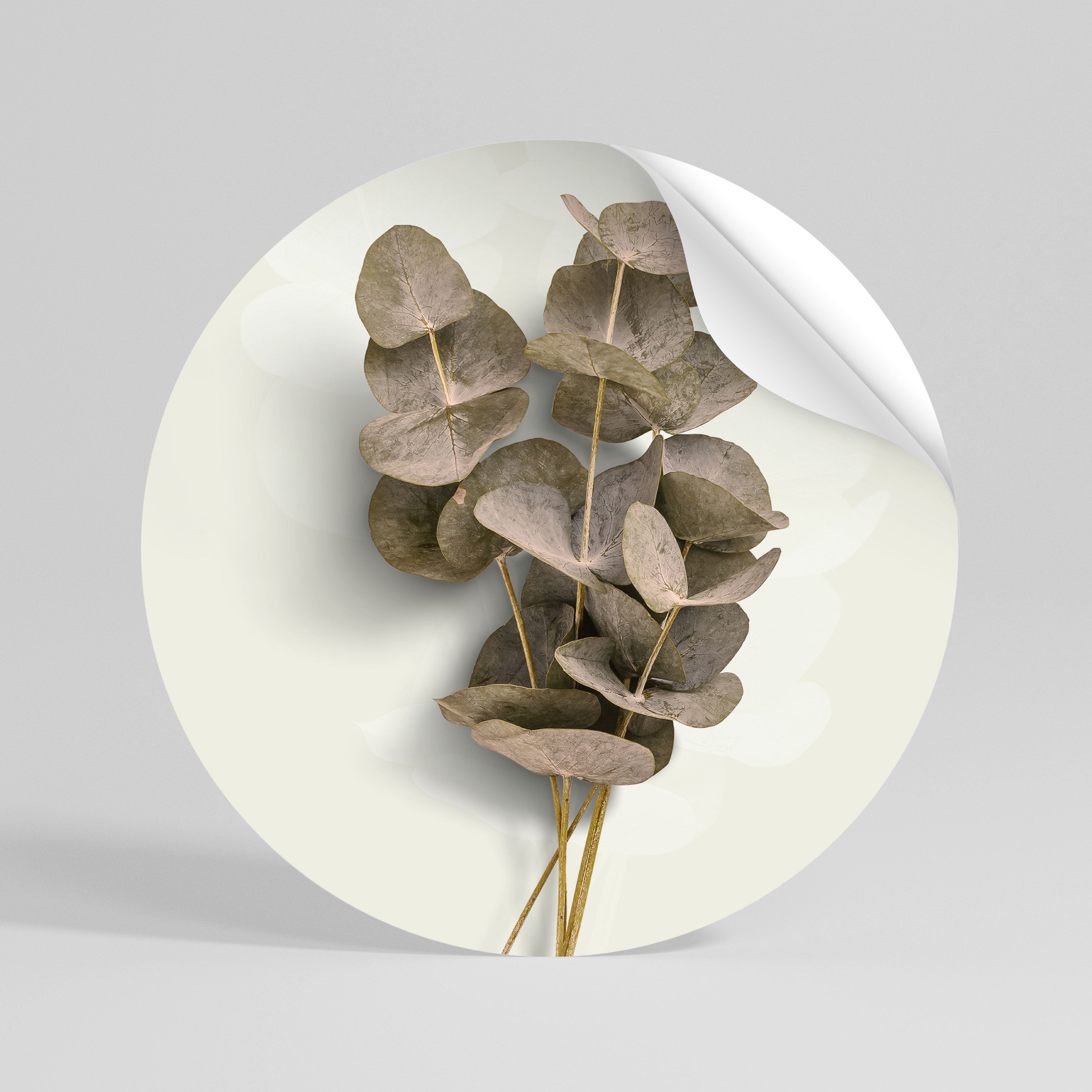 TIMELESS GREENERY Peel and Stick Round Sticker