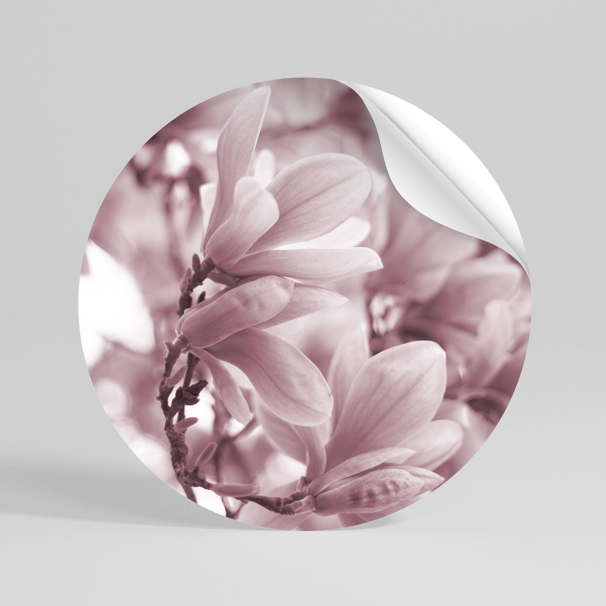 PINK BLOSSOM DREAM Αυτοκόλλητη Αφίσα στρογγυλή