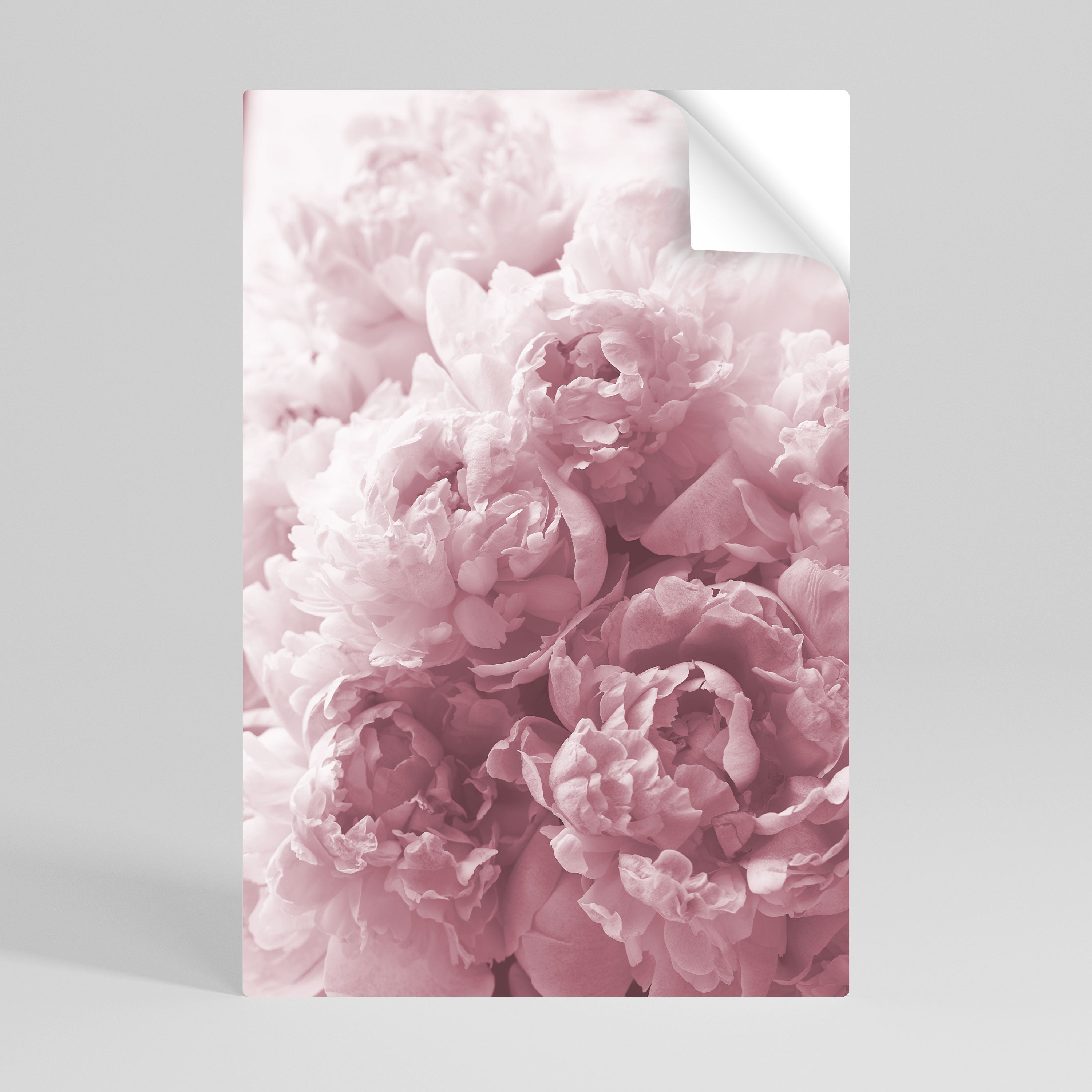 BLUSHED SERENITY Peel and Stick Vertical Poster