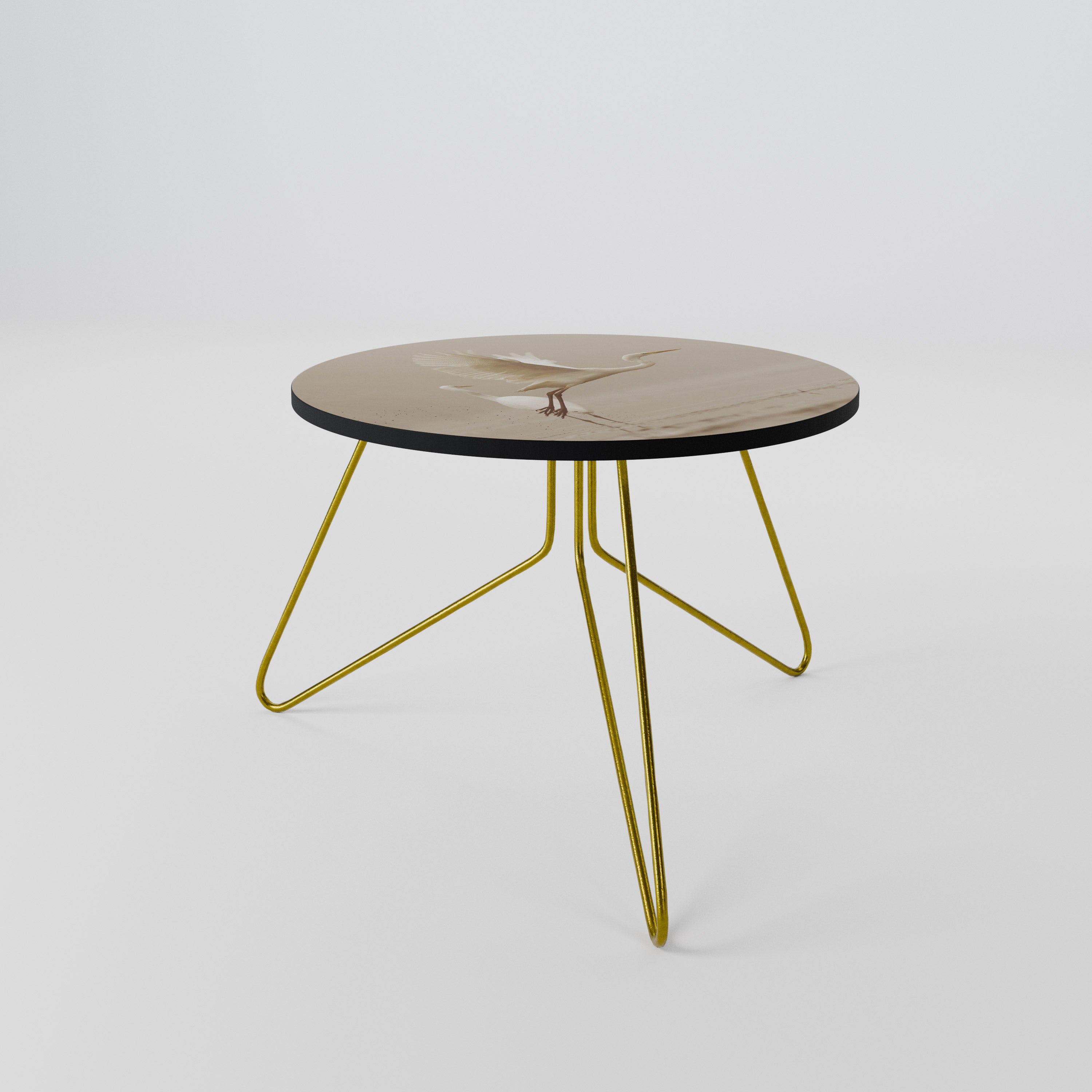 ELEGANT ASCENT Coffee Table