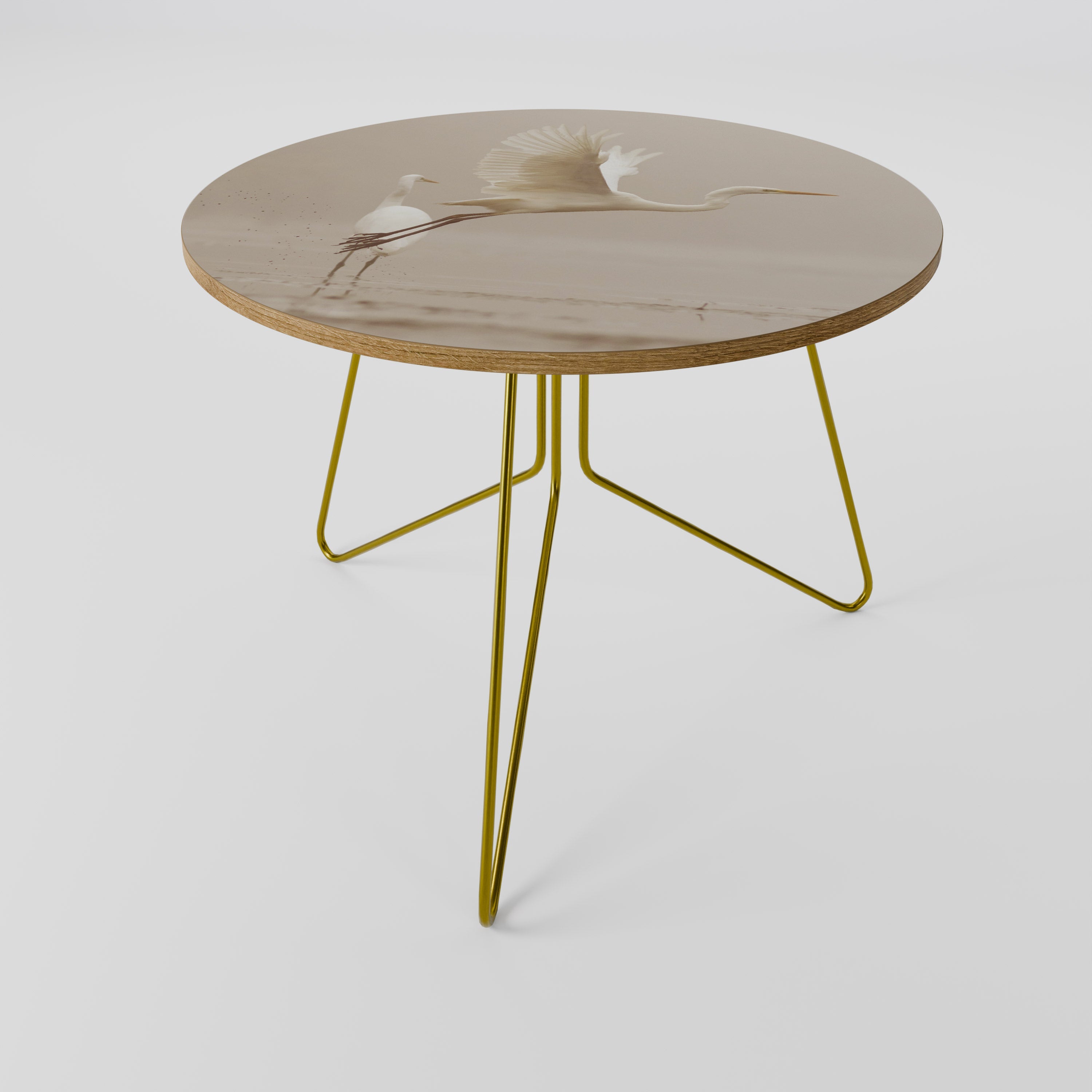 ELEGANT ASCENT Coffee Table 69