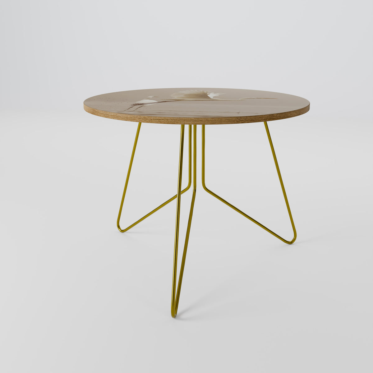 ELEGANT ASCENT Coffee Table