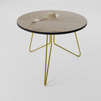 ELEGANT ASCENT Coffee Table