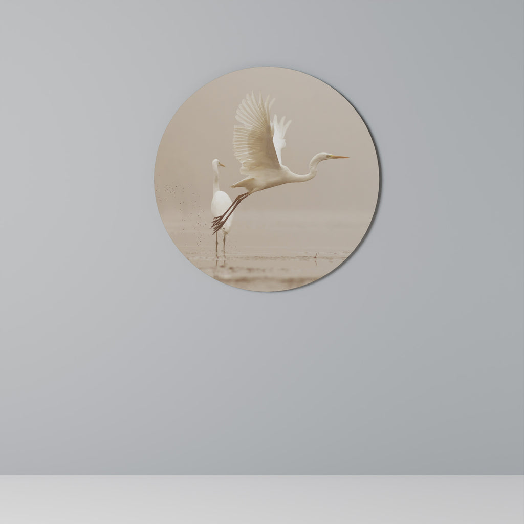 Στρογγυλή Τέχνη Τοίχου ELEGANT ASCENT