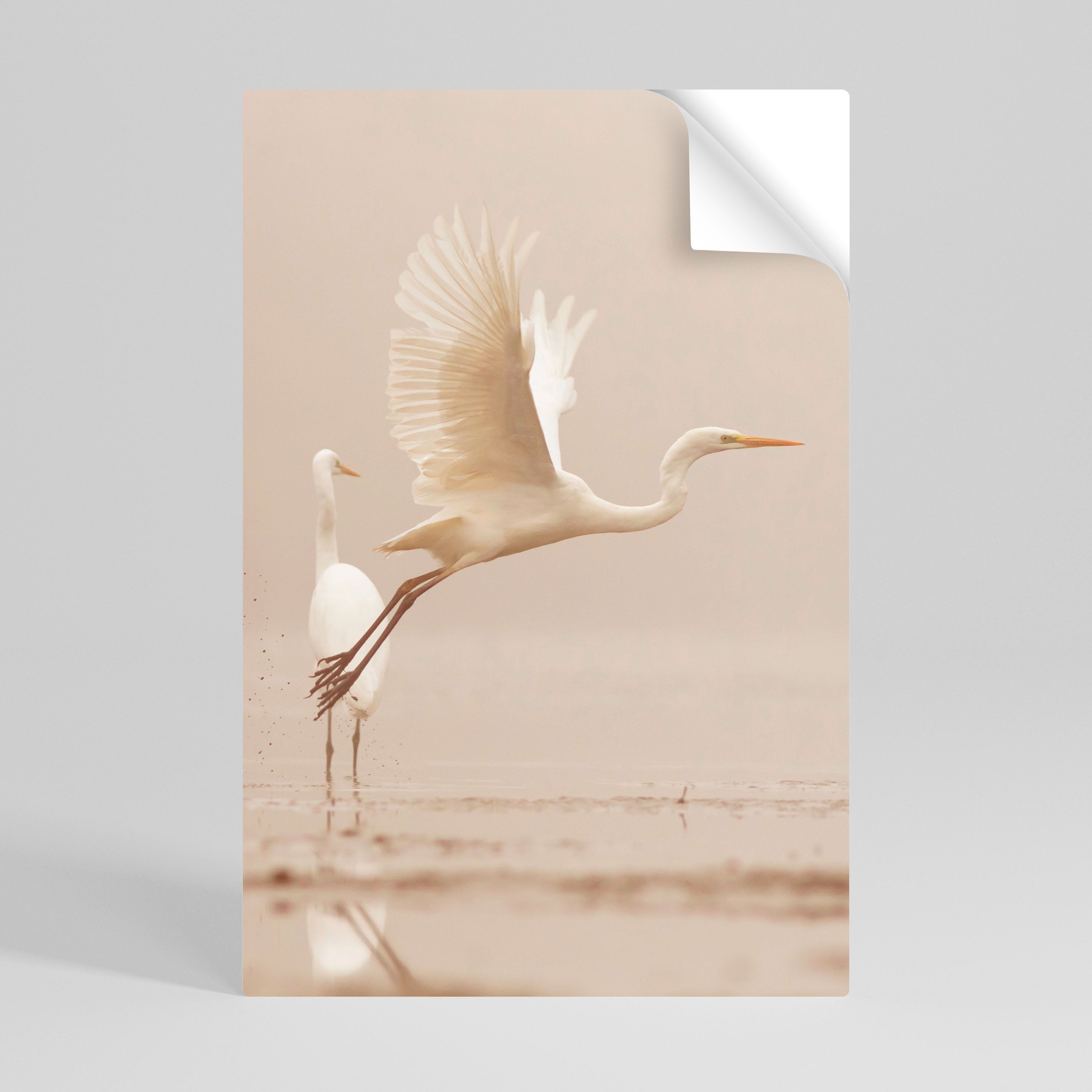 ELEGANT ASCENT Peel and Stick Vertical Poster